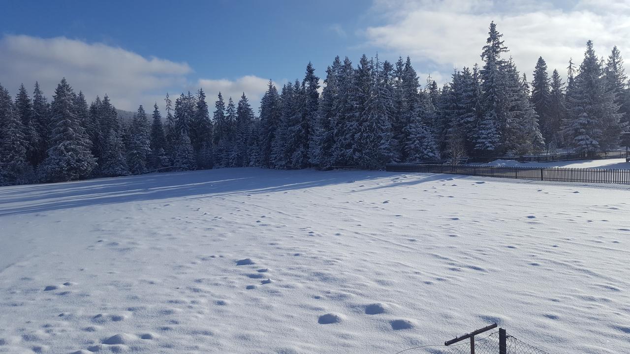 Lesne Zacisze Bed & Breakfast Мурзасичле Екстериор снимка