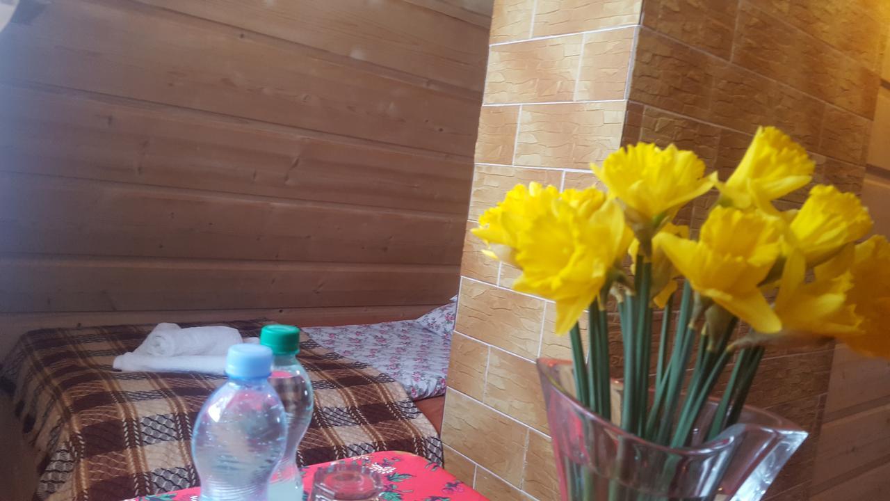 Lesne Zacisze Bed & Breakfast Мурзасичле Екстериор снимка